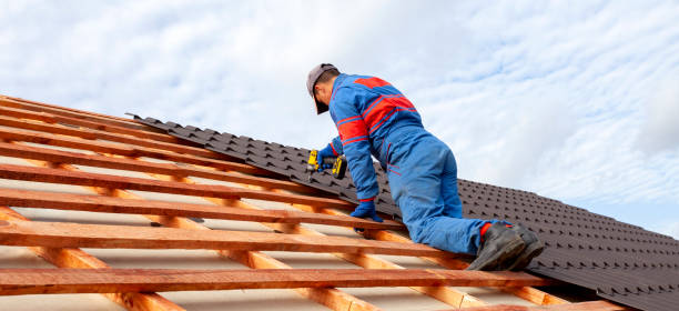 Best Metal Roofing Installation  in Stanberry, MO